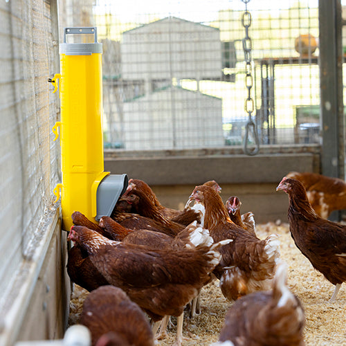 BAINBRIDGE CHOOK TOWER FEEDER