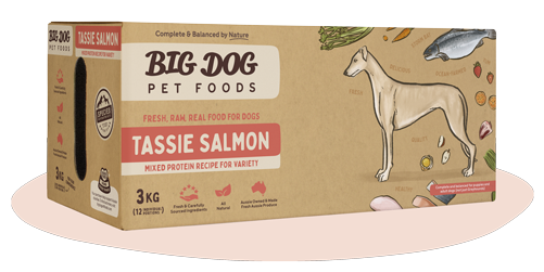 BIGDOG DOG TASSIE SALMON
