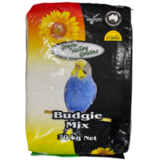 GVG BUDGIE MIX
