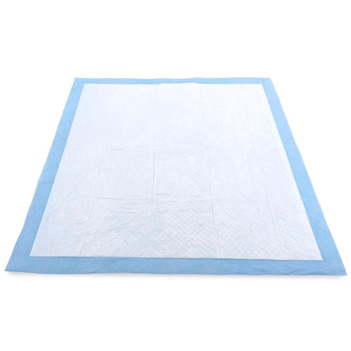 ValuePad USA Puppy Pads, Medium 22x23 Inch, 300 Count - 300 Count