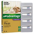 ADVANTAGE CAT 4KG PLUS FLEA'S