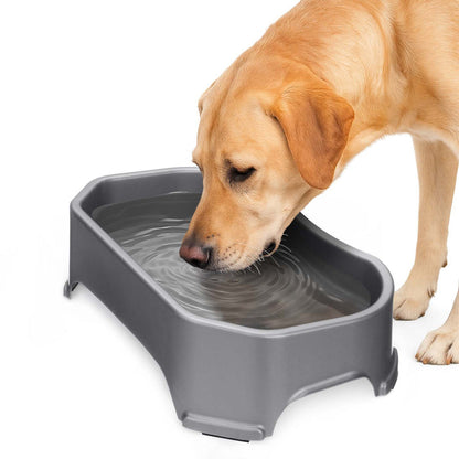 Gunmetal Grey / 1.25 Gallons (20 Cups) / No