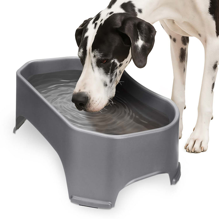 Gunmetal Grey / 2.25 Gallons (36 Cups) / No