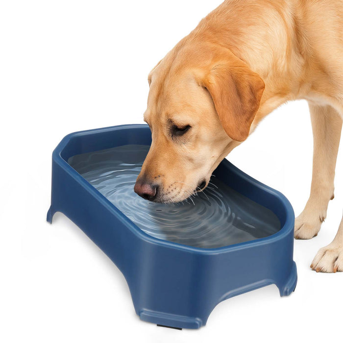 Dark Blue / 1.25 Gallons (20 Cups) / No