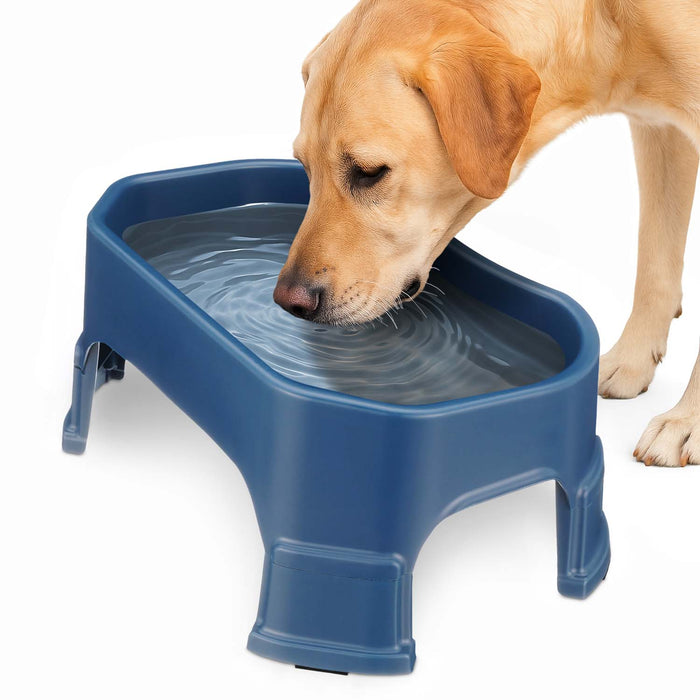 Dark Blue / 1.25 Gallons (20 Cups) / Yes