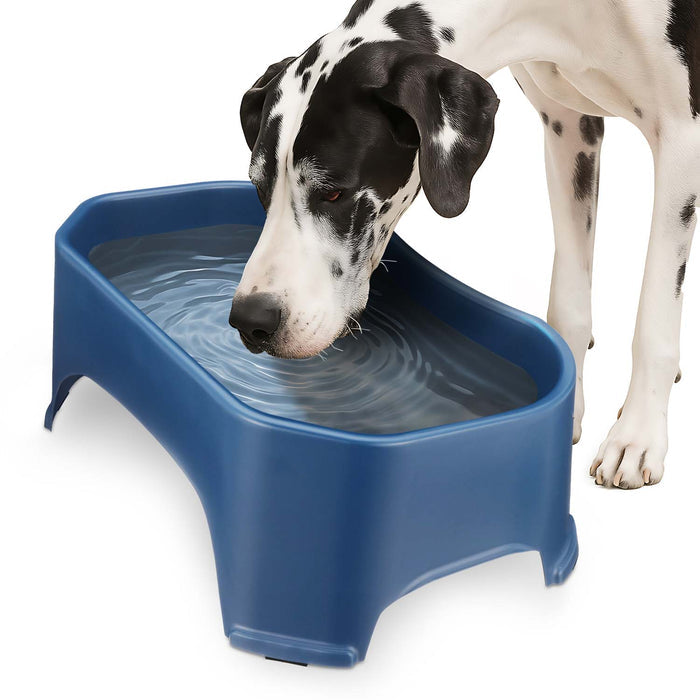 Dark Blue / 2.25 Gallons (36 Cups) / No