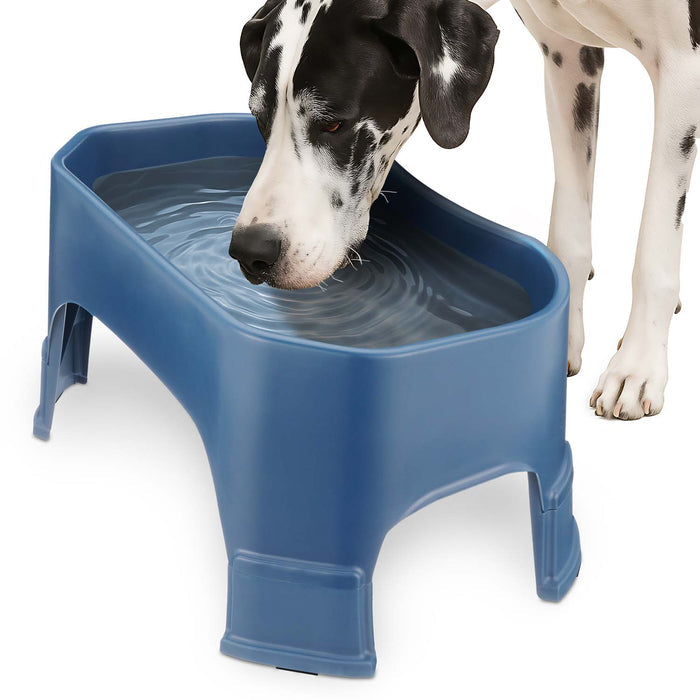 Dark Blue / 2.25 Gallons (36 Cups) / Yes