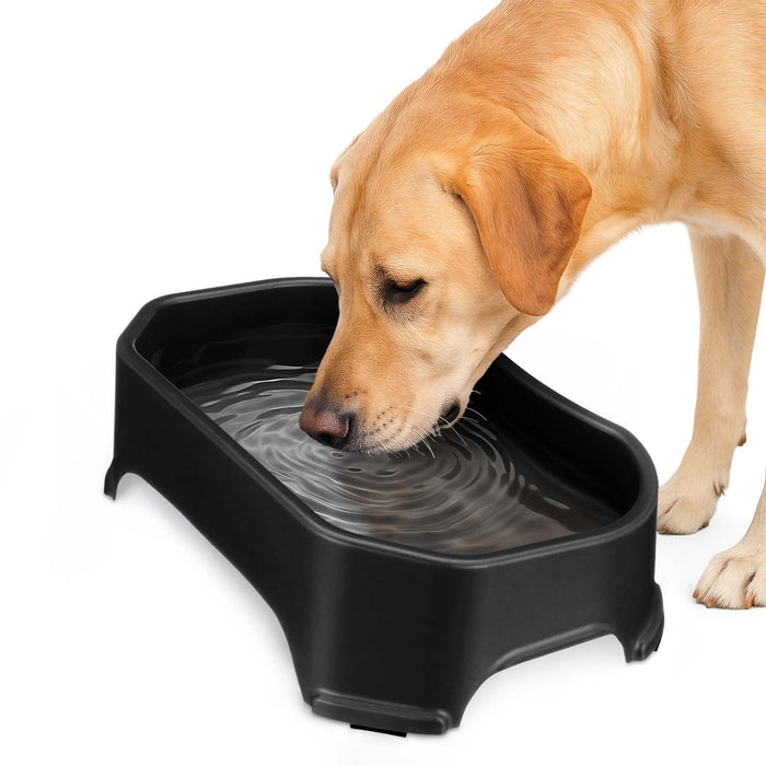Midnight Black / 1.25 Gallons (20 Cups) / No