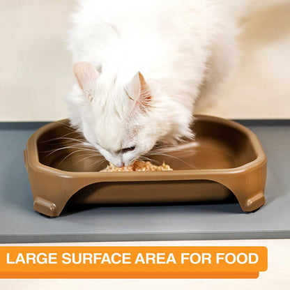 Cat eating from Little Big Bowl. Text on screen reads: Large surface area for food.