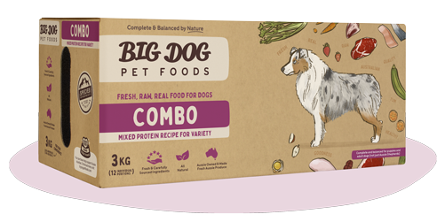 BIGDOG DOG COMBO