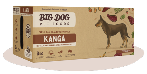 BIGDOG DOG KANGAROO