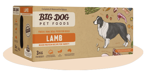 BIGDOG DOG LAMB