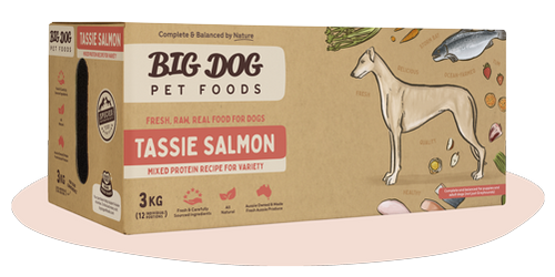 BIGDOG DOG TASSIE SALMON