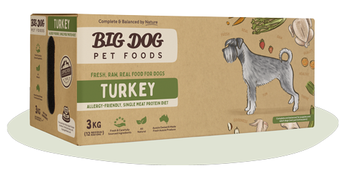 BIGDOG DOG TURKEY