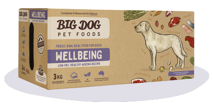 BIGDOG DOG WELLBEING