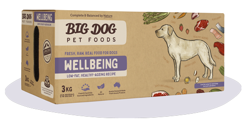 BIGDOG DOG WELLBEING