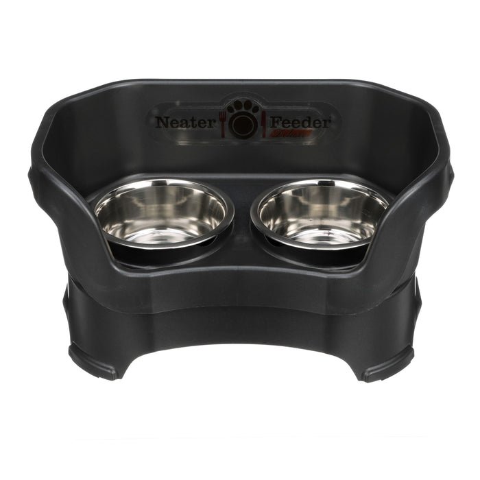 Midnight Black / Medium for Bigger Cats / No