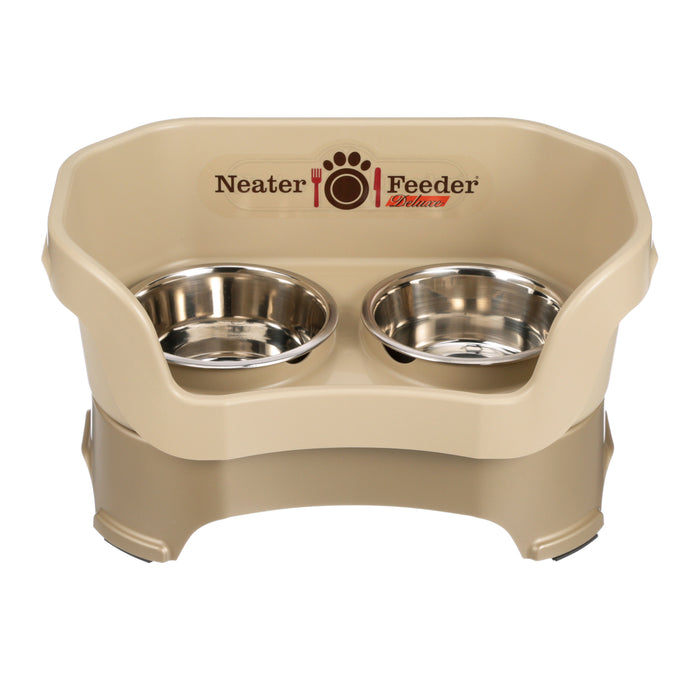 Cappuccino / Medium for Bigger Cats / No