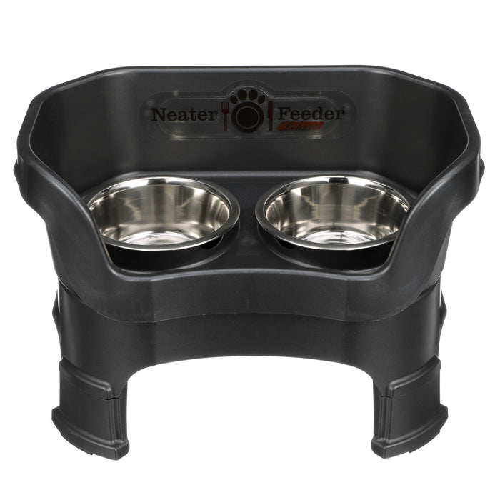Midnight Black / Medium Dog