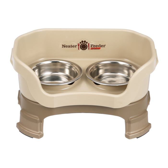 Cappuccino / Cat