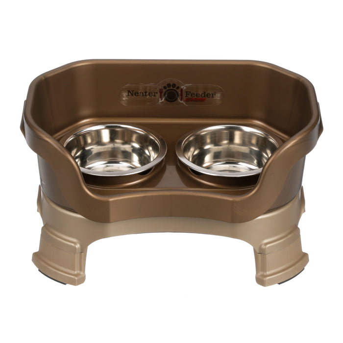 Bronze / Small Dog