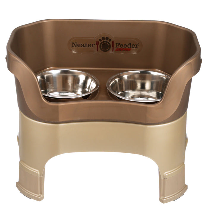 Bronze / Large Dog