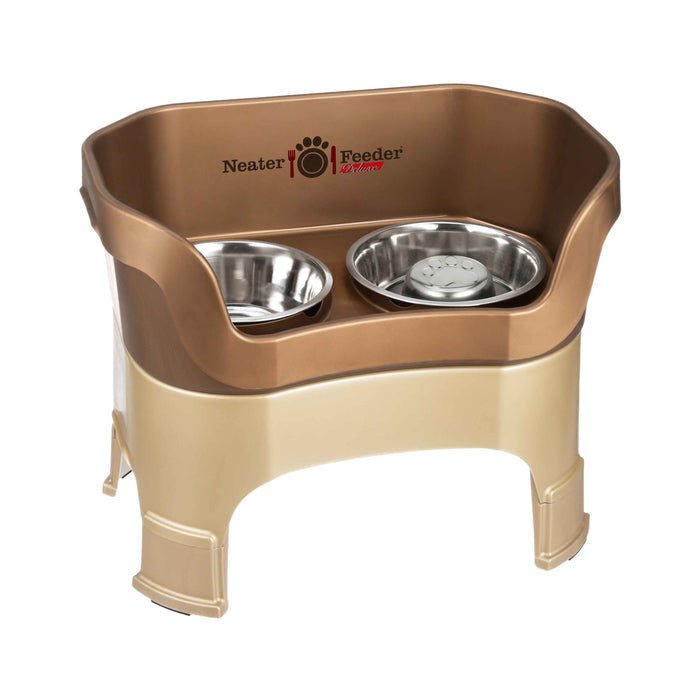 Bronze / Large / Yes