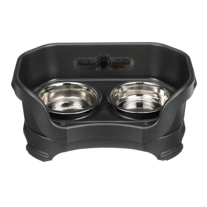 Midnight Black / Cat - Shallow Bowls / No