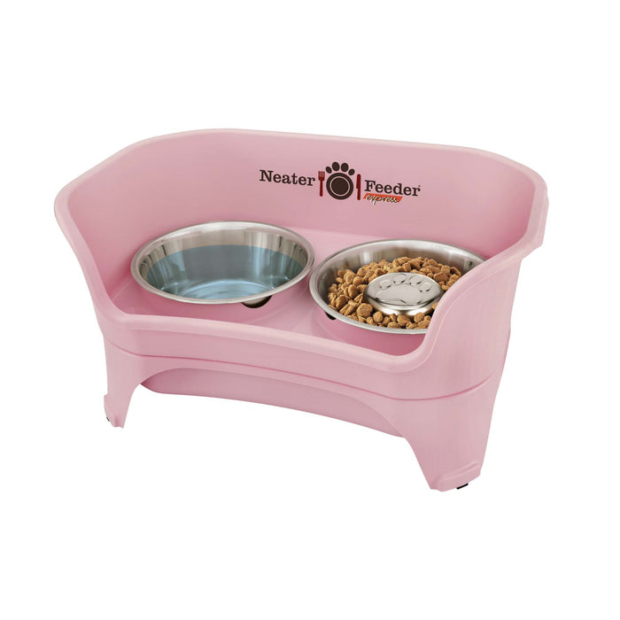 Pink / Medium & Large Dog
