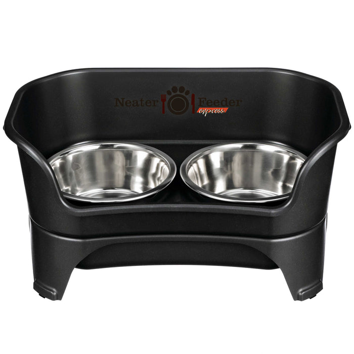 Midnight Black / Medium to Large