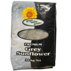 GVG GREY SUNFLOWER