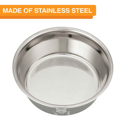 Hungry cat bowl stainless steel top view on white background.