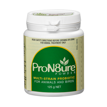IAH PROTEXIN POWDER