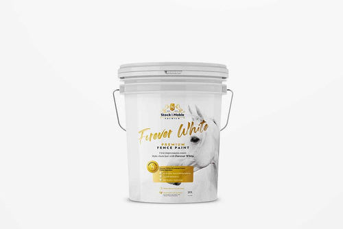 MASTER BLEND PAINT FOREVER WHITE