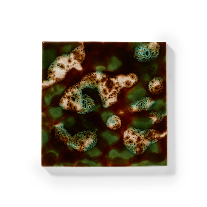 Mottled M9