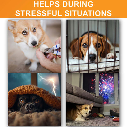 The Neat-Lik Express licking mat for dogs and cats helps during stressful situations such as nail trims, crate time, thunderstorms and fireworks