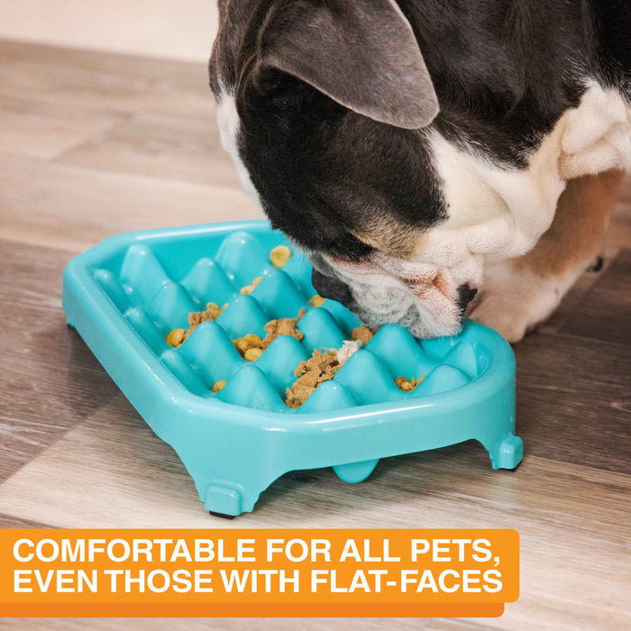 Picture of a Bulldog eating out of the Neater Slow Feeder in a kitchen. Text on screen reads: Comfortable for all pets, even those with flat-faces.