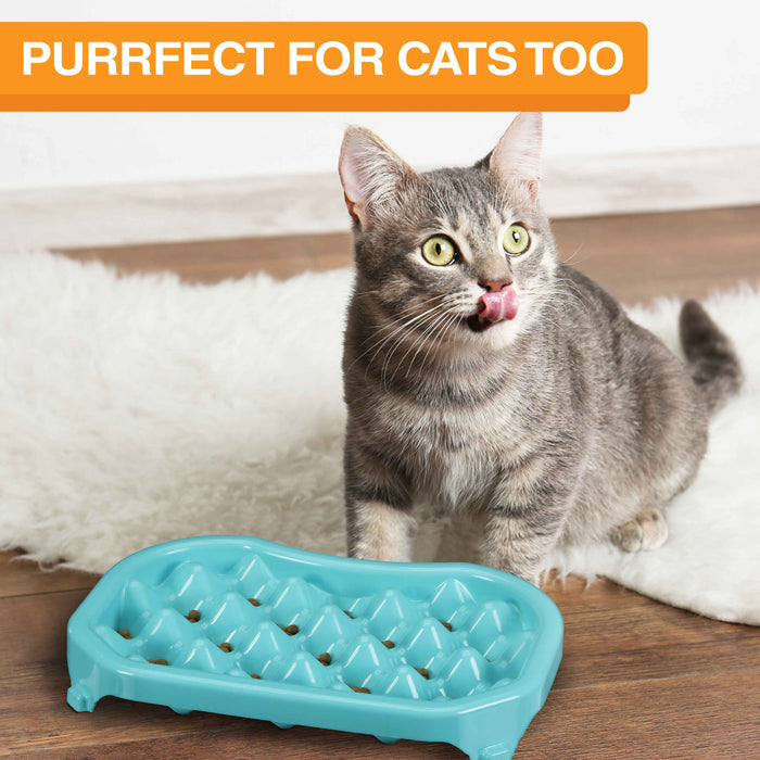 Picture of a cat licking its mouth next to a Neater Slow Feeder. Text on screen reads: Purrfect for cats too.