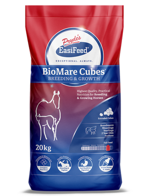 PRYDES BIO MARE CUBES 20KG