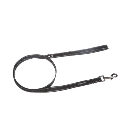 Reflective leash top view on a white background.