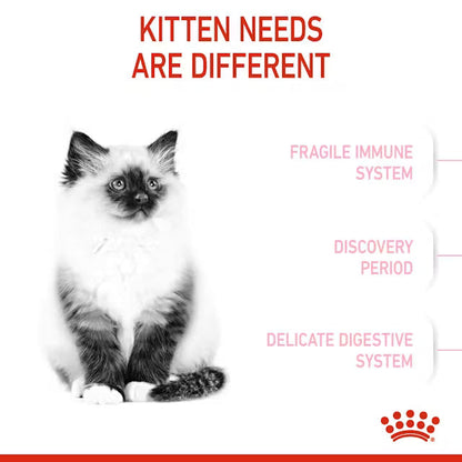 ROYAL CANIN KITTEN