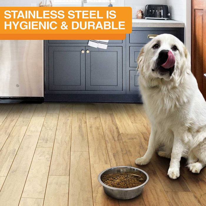 Dog sitting by stainless steel bowl in a kitchen. Text on screen reads: Stainless steel is hygienic and durable.