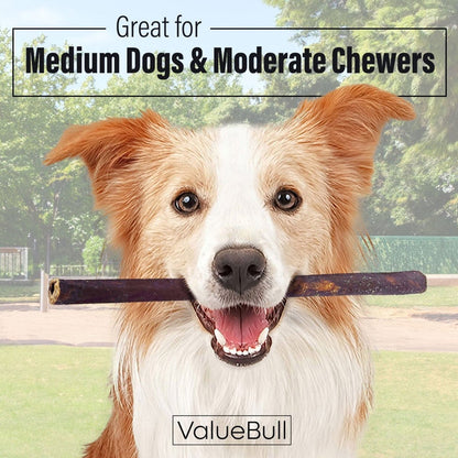 ValueBull Beef Collagen Sticks for Dogs, 12 Inch Medium Chew, 10 Count - Medium - 10 Sticks