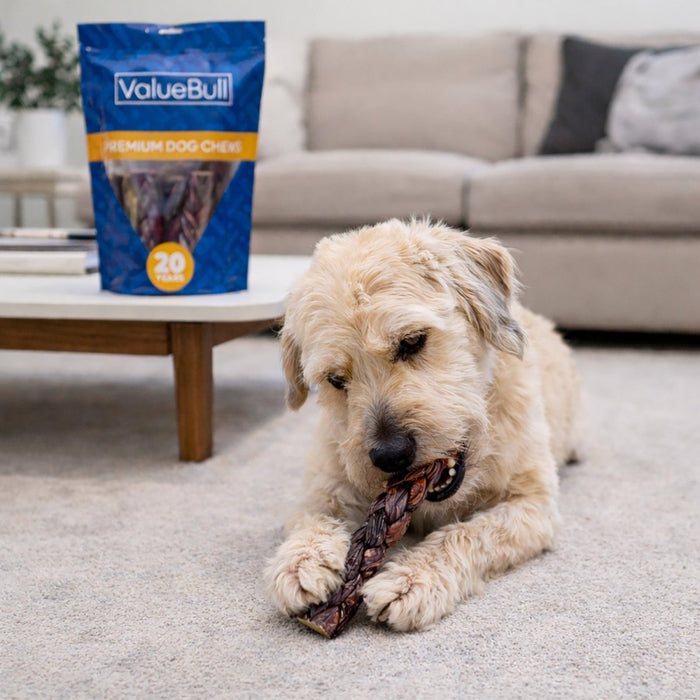 ValueBull Beef Jerky Gullet Braids for Dogs, Thick 6 Inch, 100 Count Bulk Pack - Gullet - 100 Braids