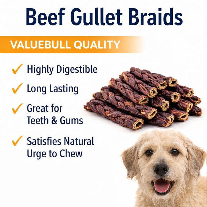 ValueBull Beef Jerky Gullet Braids for Dogs, Thick 6 Inch, 100 Count Bulk Pack - Gullet - 100 Braids