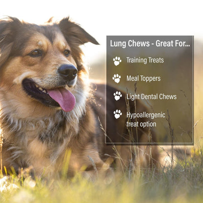 ValueBull Beef Lung Wafers, Premium 2 Pounds - Wafers - 2 Pound