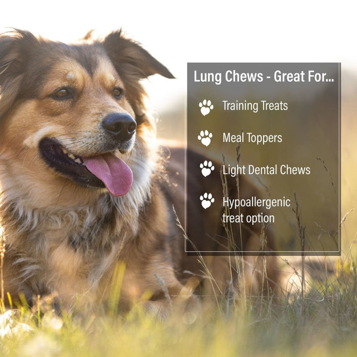 ValueBull Beef Lung Wafers, Premium 4 Pounds - Wafers - 4 Pound