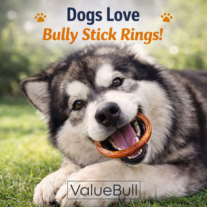 ValueBull Bully Stick Rings for Dogs, Varied, 10 Count - Donut - 10 Rings