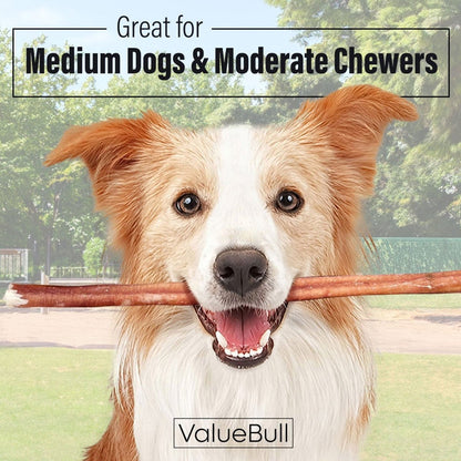 ValueBull Bully Sticks for Dogs, Medium 12 Inch, 25 Count - Medium - 25 Sticks