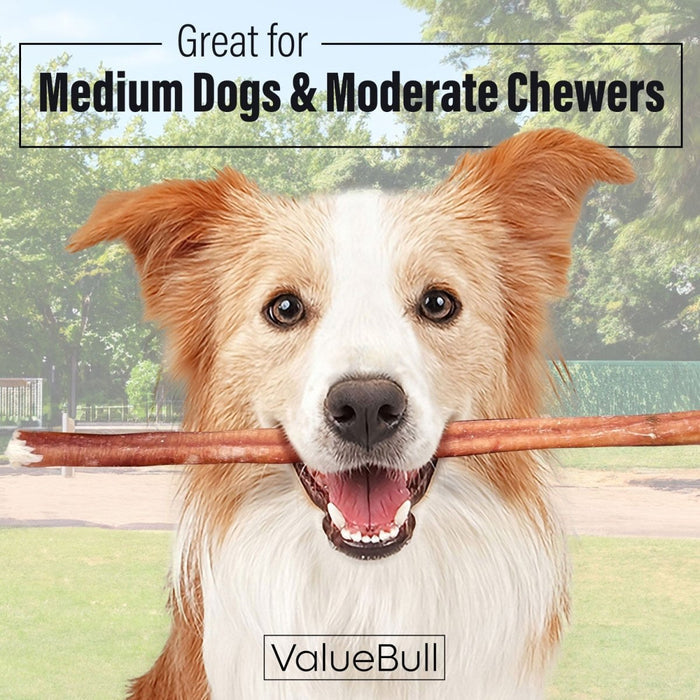 ValueBull Bully Sticks for Dogs, Medium 12 Inch, 50 Count - Medium - 50 Sticks